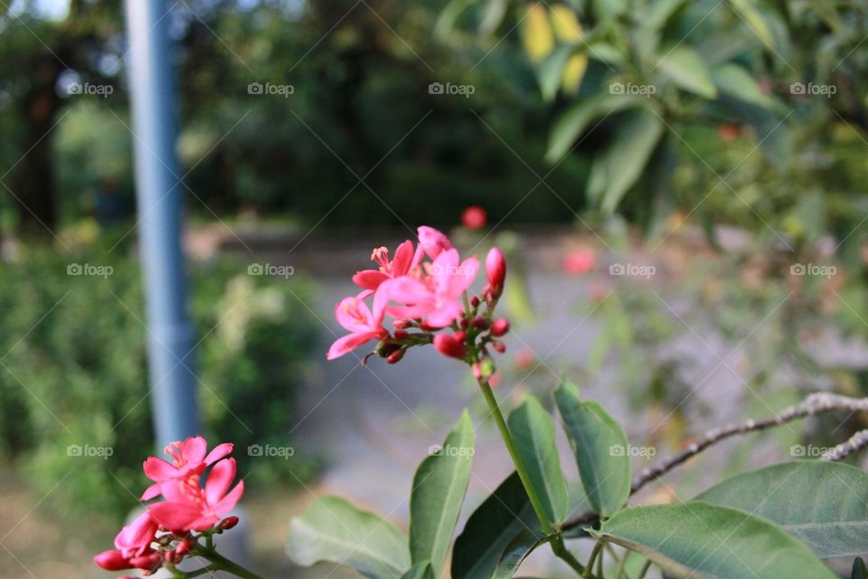 Garden of Five Senses #3. Garden of Five Senses, New Delhi, India