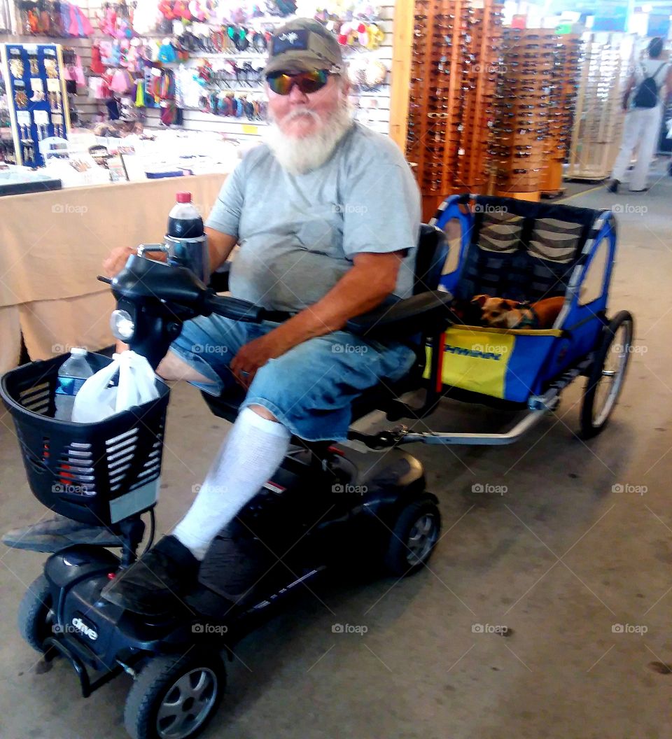 doing some shopping at the market on scooter and pulling cart for the puppies to have an adventure  going from point A to point B