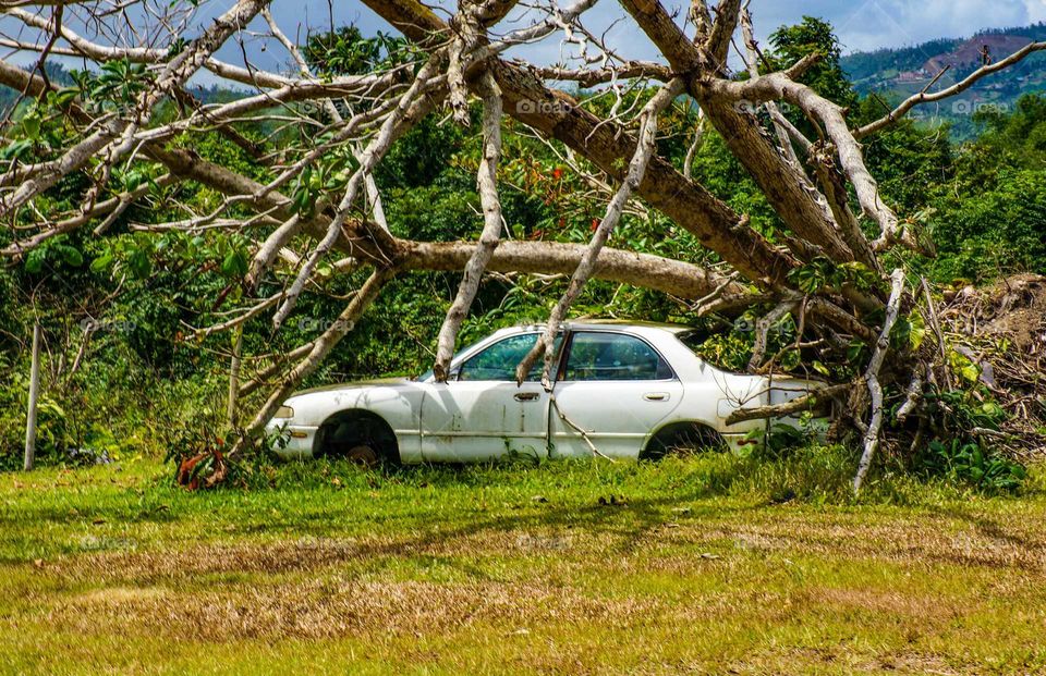 after hurricane, crashed car