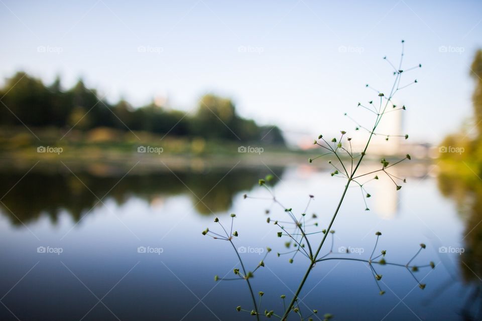 Water, Reflection, Lake, Landscape, River
