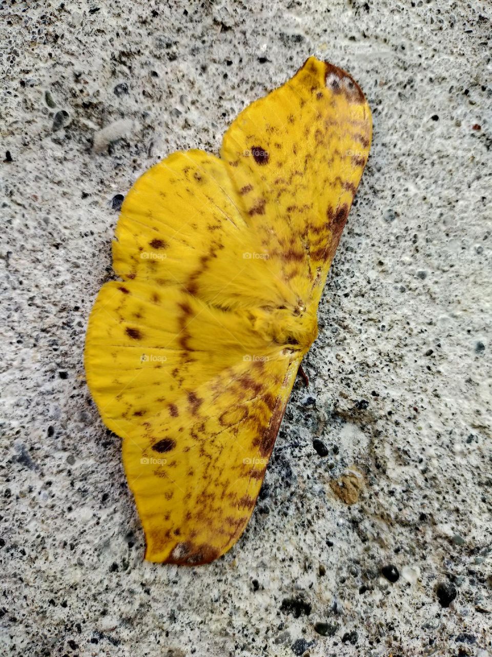 strong,roughly blends but still beautiful..