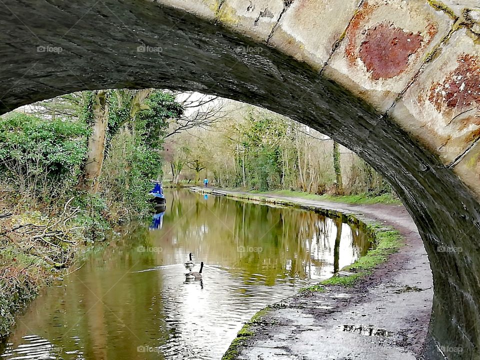 Bridge, Macclesfield Canal, Cheshire UK