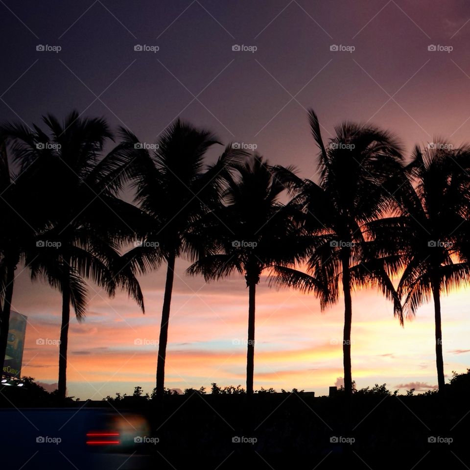 Beach, Sunset, Sun, Tropical, Palm