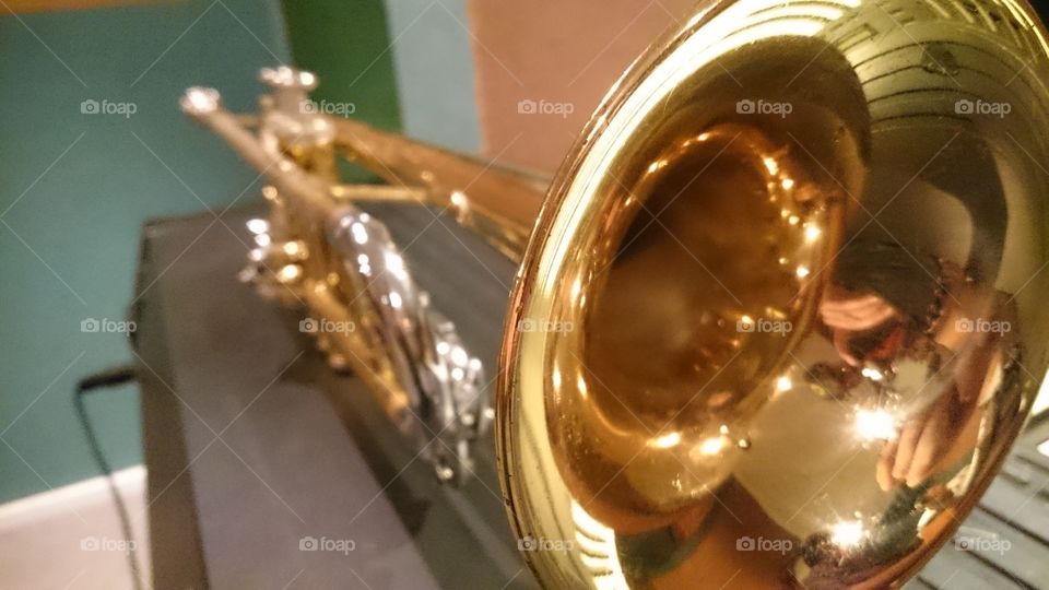 The golden trumpet 🎺 . The brass hardware in its golden plated form. 