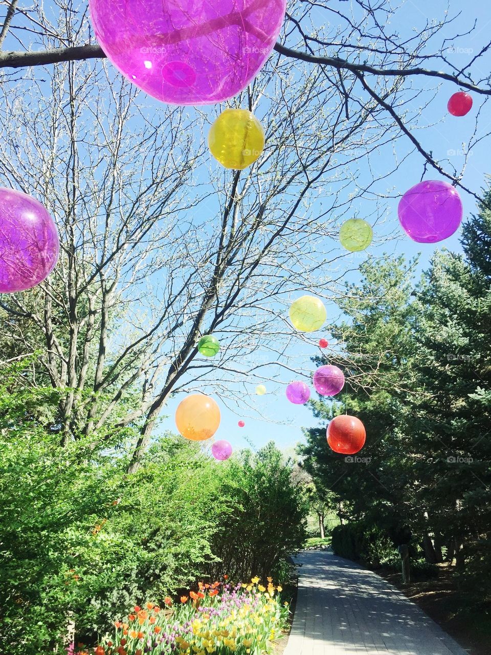 Magical Helium Balloons photo