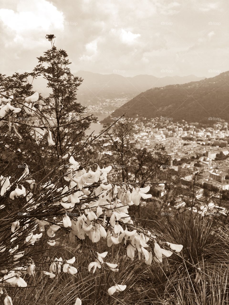 vintage style image of the city of Como seen from the hills of the Spina Verde regional park