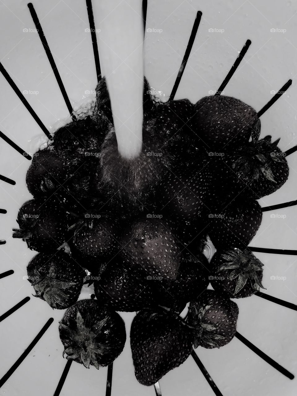 World in black and white 