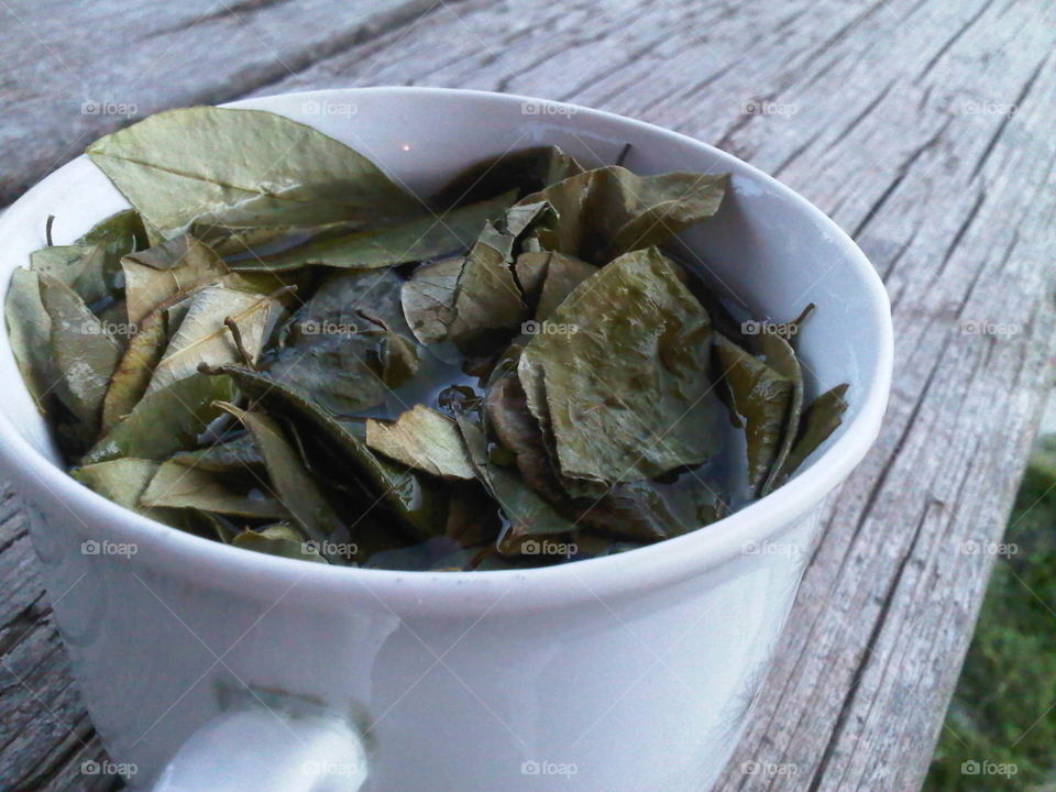 Coca leaves tea 