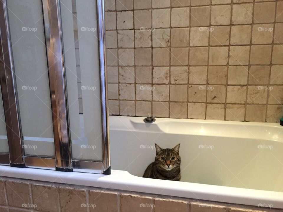 Taking a bath