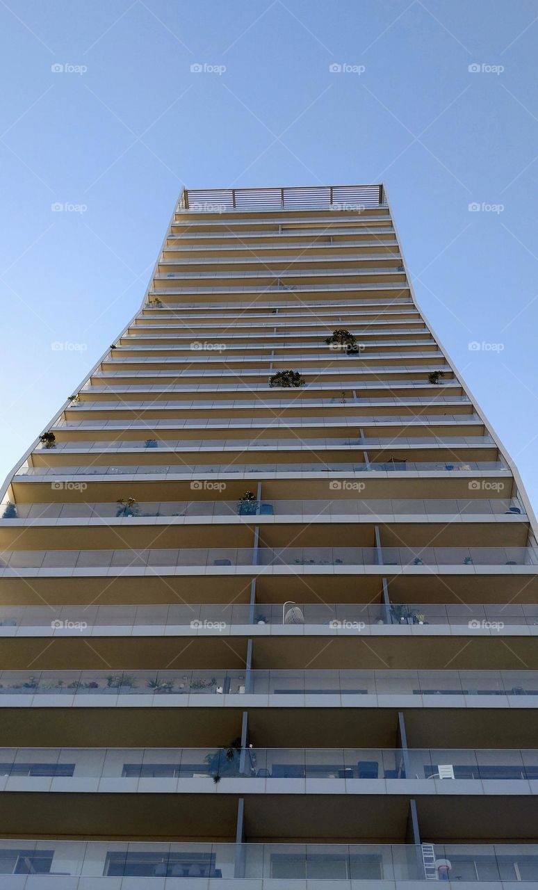 Building 🏢 Architecture 🏢 Blue sky 🩵 Plants 🌵 City vibe 🩵