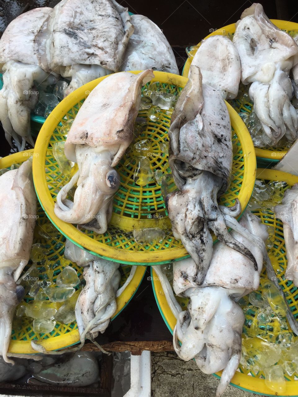 Squid. A picture of the squid for sale at a South Korean outdoor market