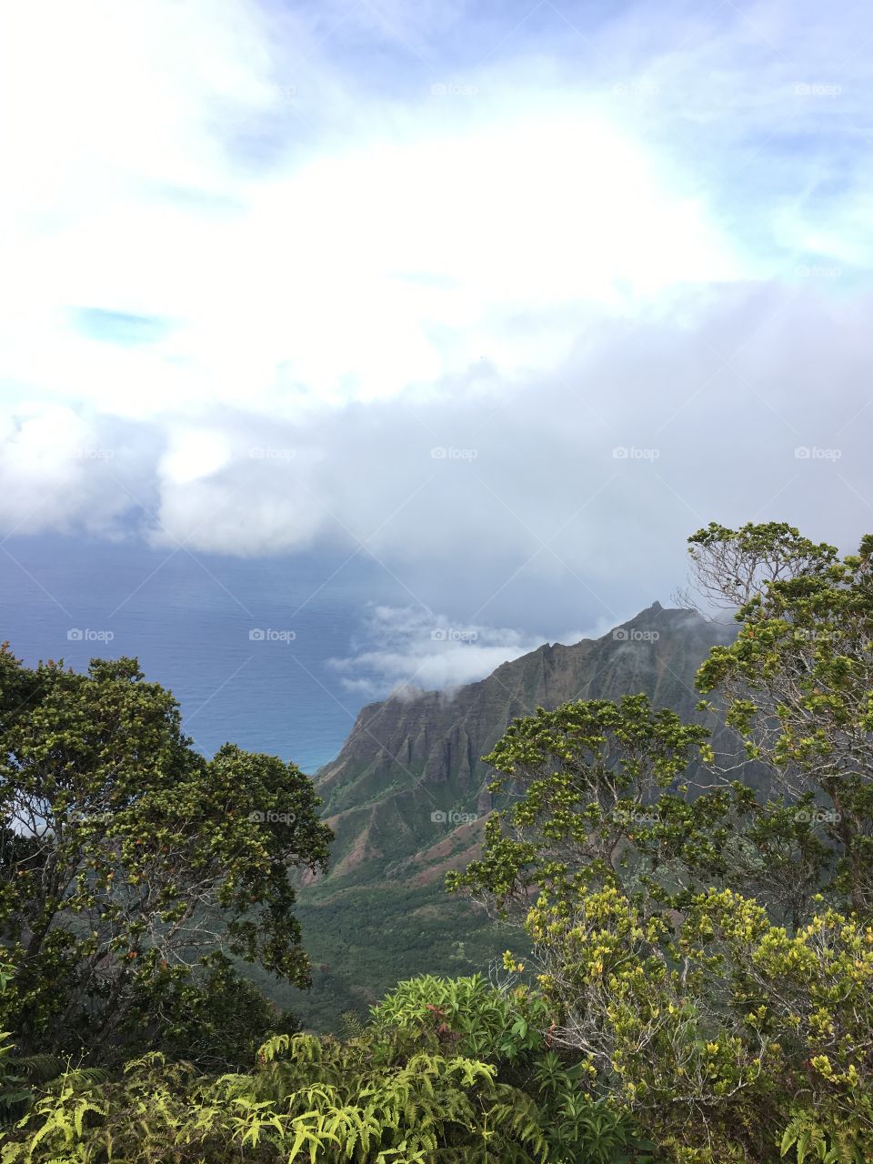 Top of the Mountain Coastal View