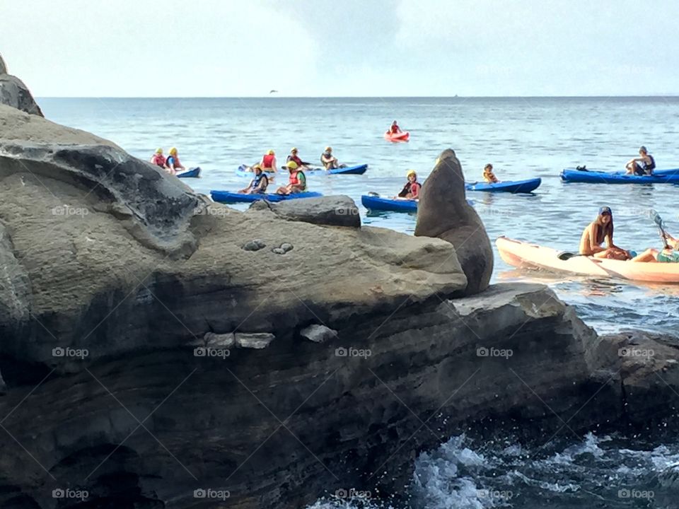 Kayaking Around the rocks with seals 
