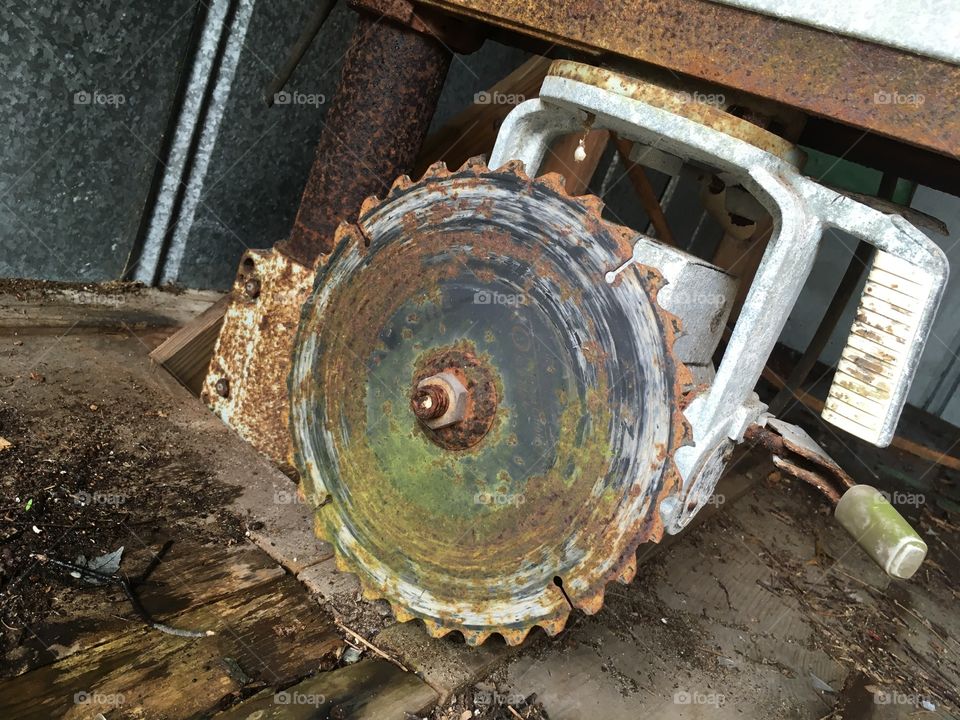 Abandoned Jungleland Zoo