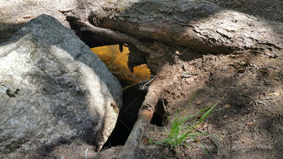 water between tree root & rock through a hole