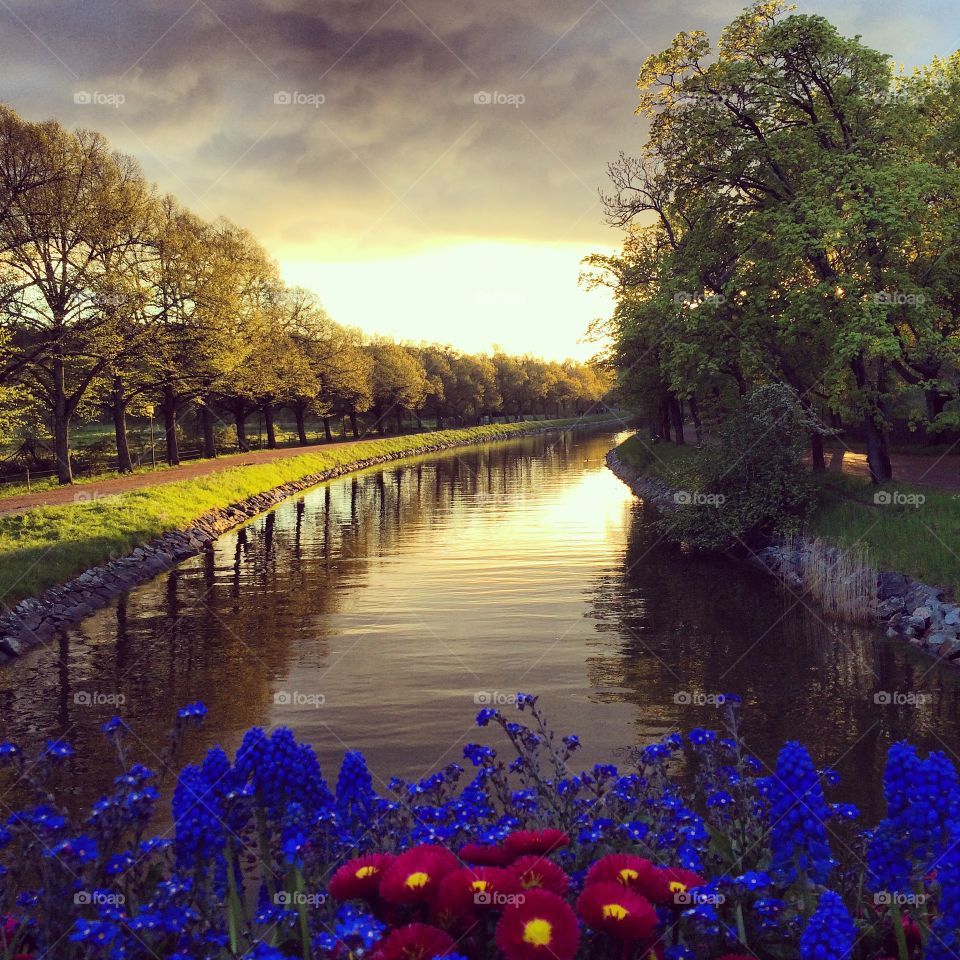 Kanalen. Djurgården, Stockholm. 