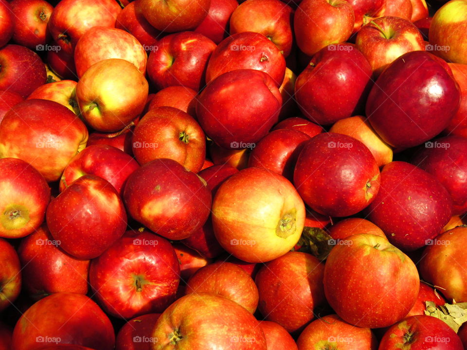 Apples