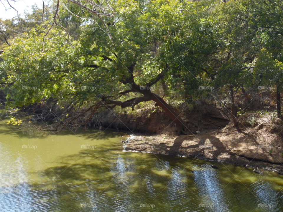 nice. This is the perfect spot to fish 🐠
