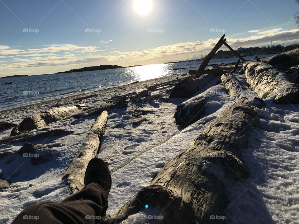 Winter on a beach 