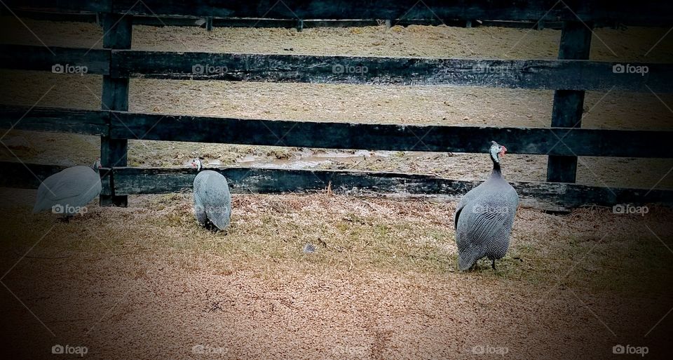 Driving the  back Roads