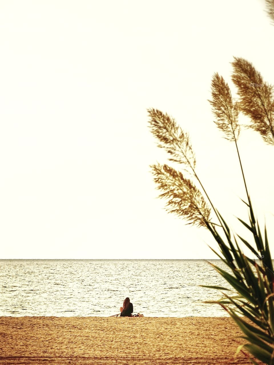 The girl and the beach