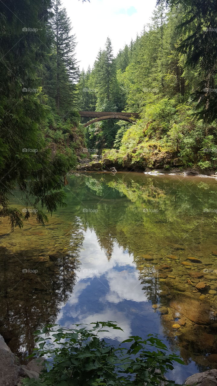 Washington river and bridge
