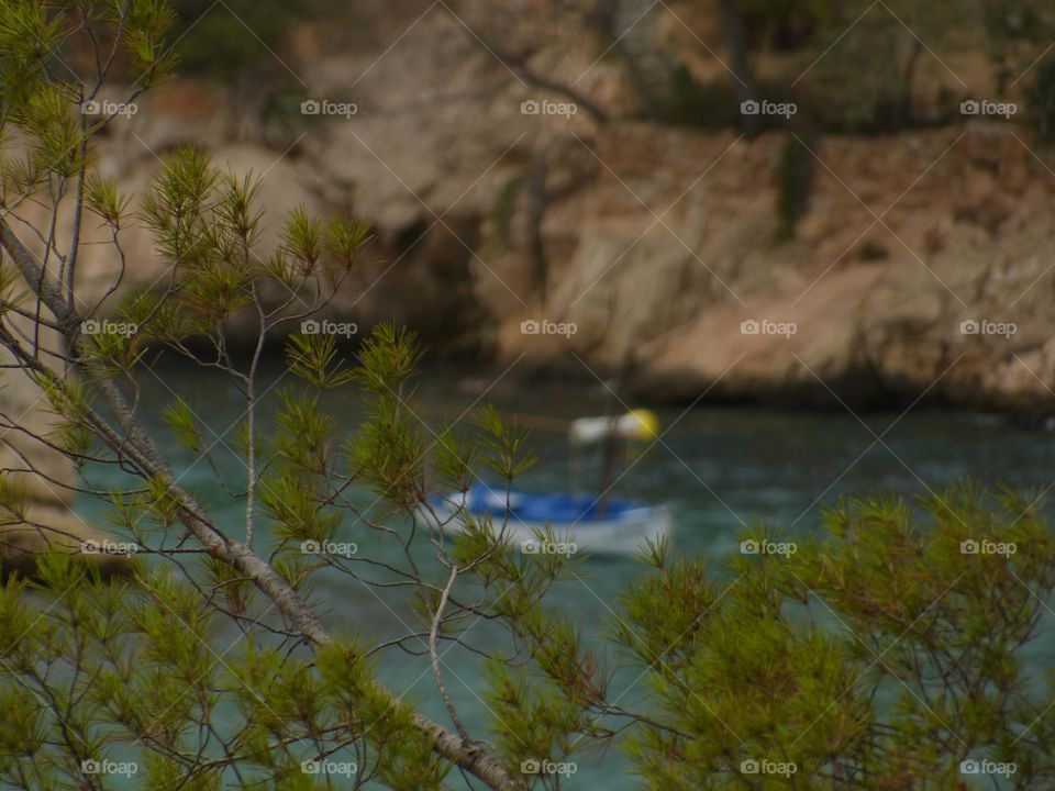Spanish tree in foreground framing fishing boat on sunny summer day seaside