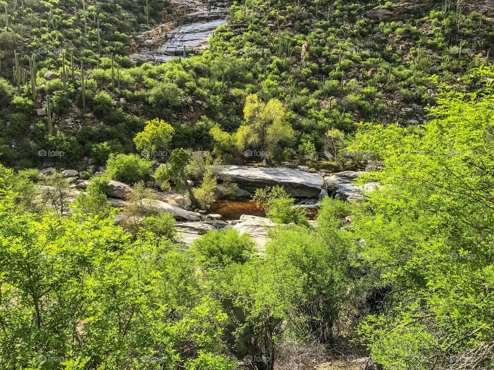 Nature Mountain Landscape - Sabino Canyon in Tucson, Arizona 