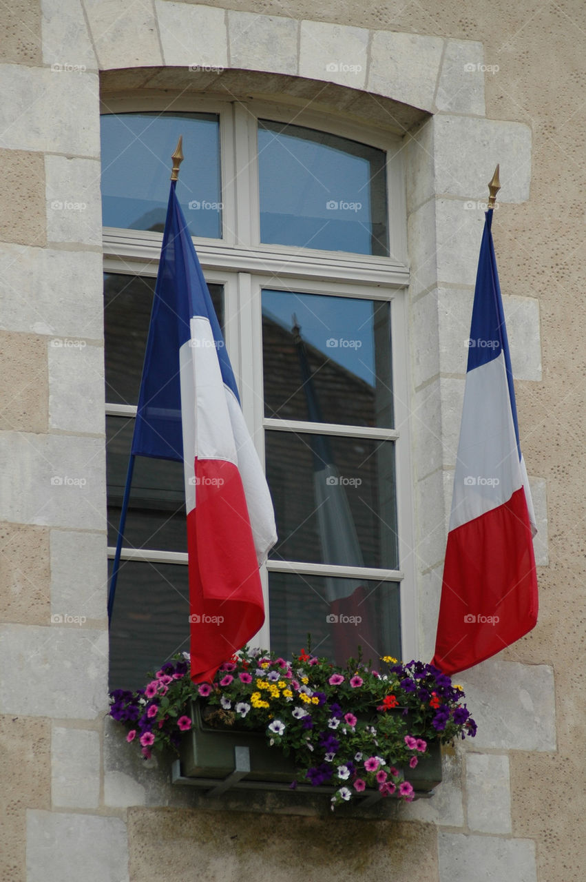 French Flags