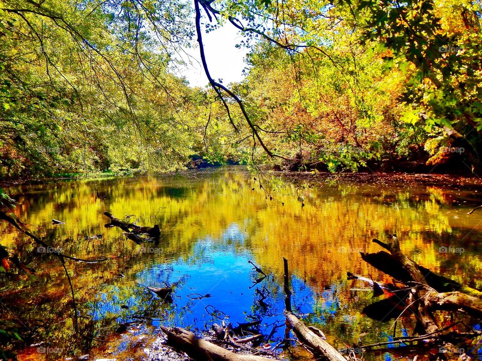 Fall on the white river in the woods. 