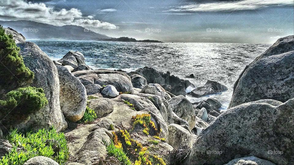 Monterey, California Coastline
