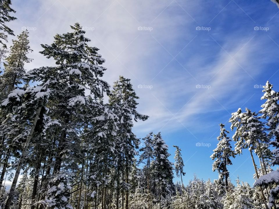 blue sky over snow
