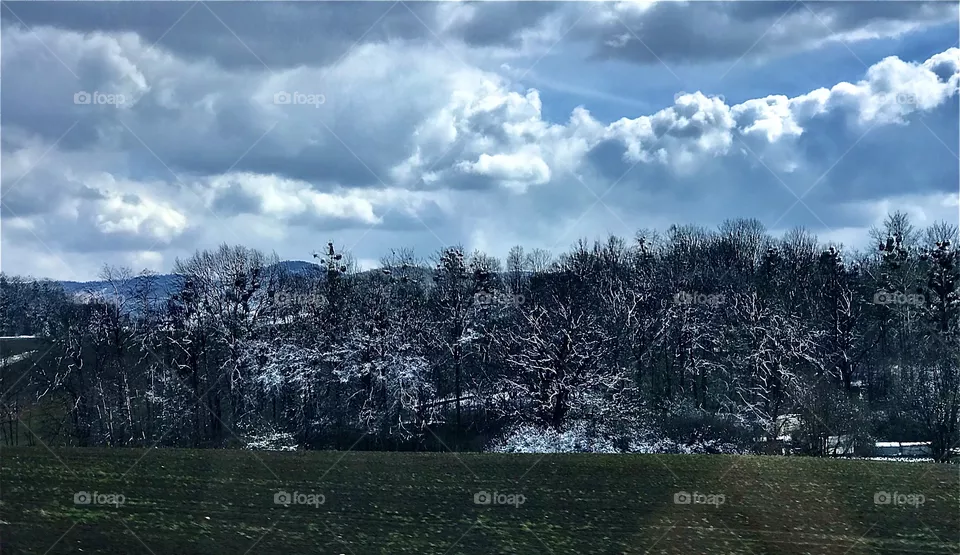 Snow 
