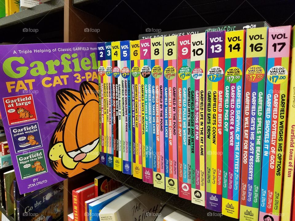 Garfield collection