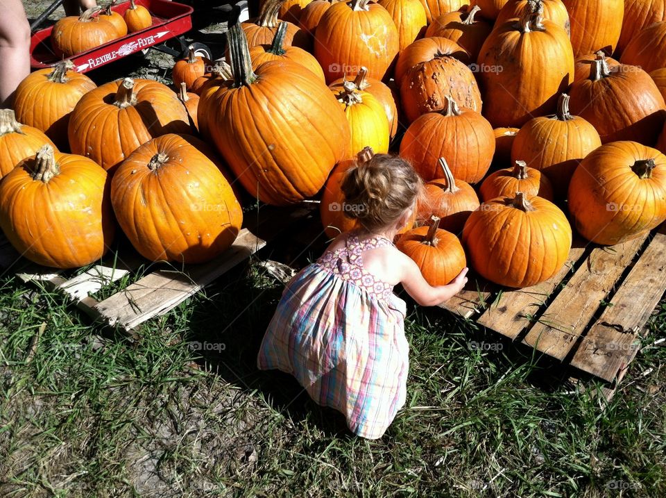 Little girl decides on a pumpkin