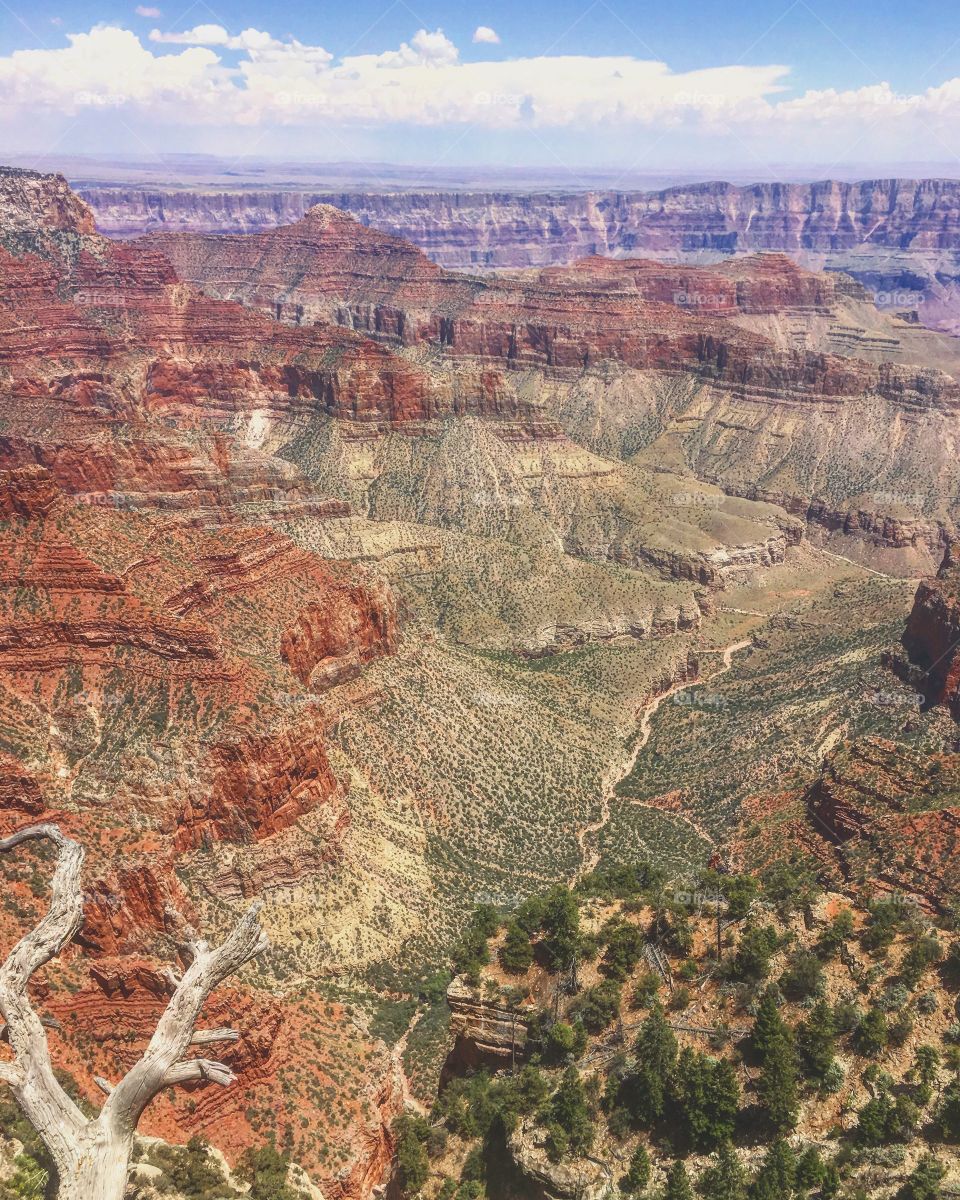 The Grand Canyon North Rim, USA