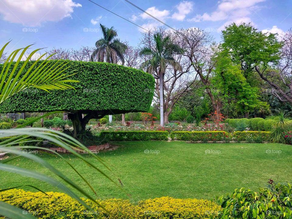 That park looks like a peaceful oasis with all those vibrant flowers and lush greenery. It's the perfect spot for a relaxing stroll or a picnic on a sunny day. 🌳🌺