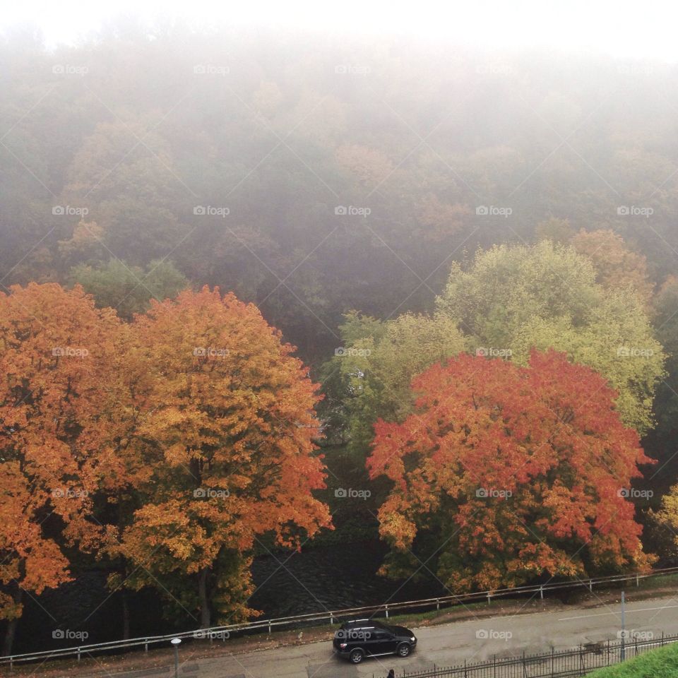 Lithuania autumn 