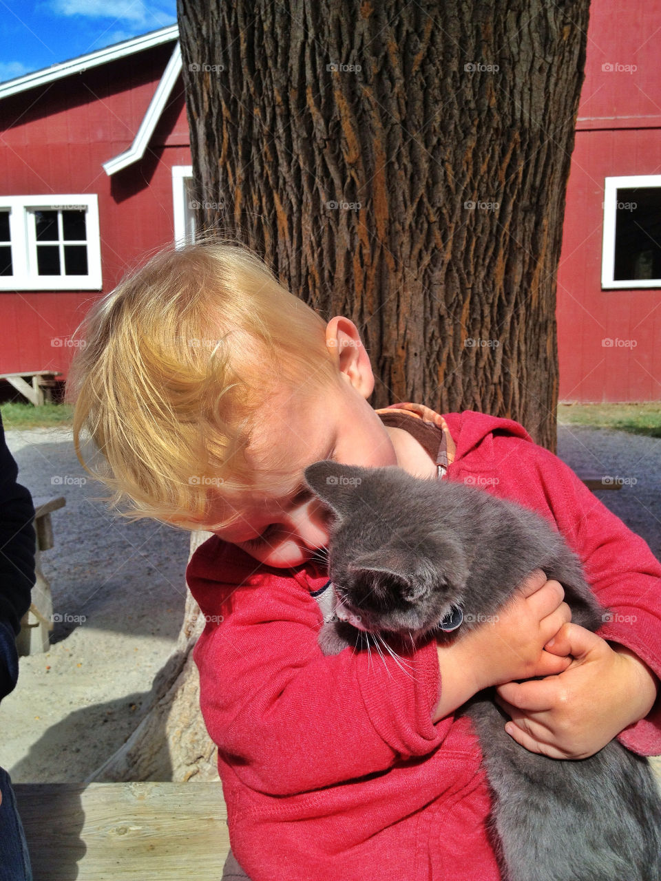 green yellow nature red by somebeach