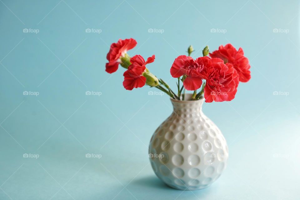 Red carnations in a vase