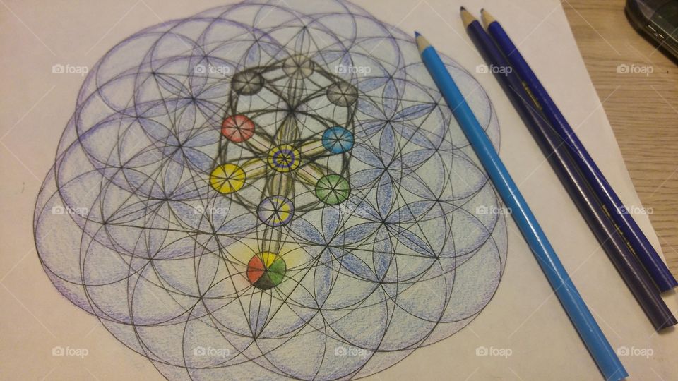 Picture I drew of the Tree of life and MerKaBah star over the flower of life pattern