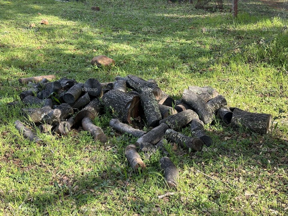 Pile of logs 