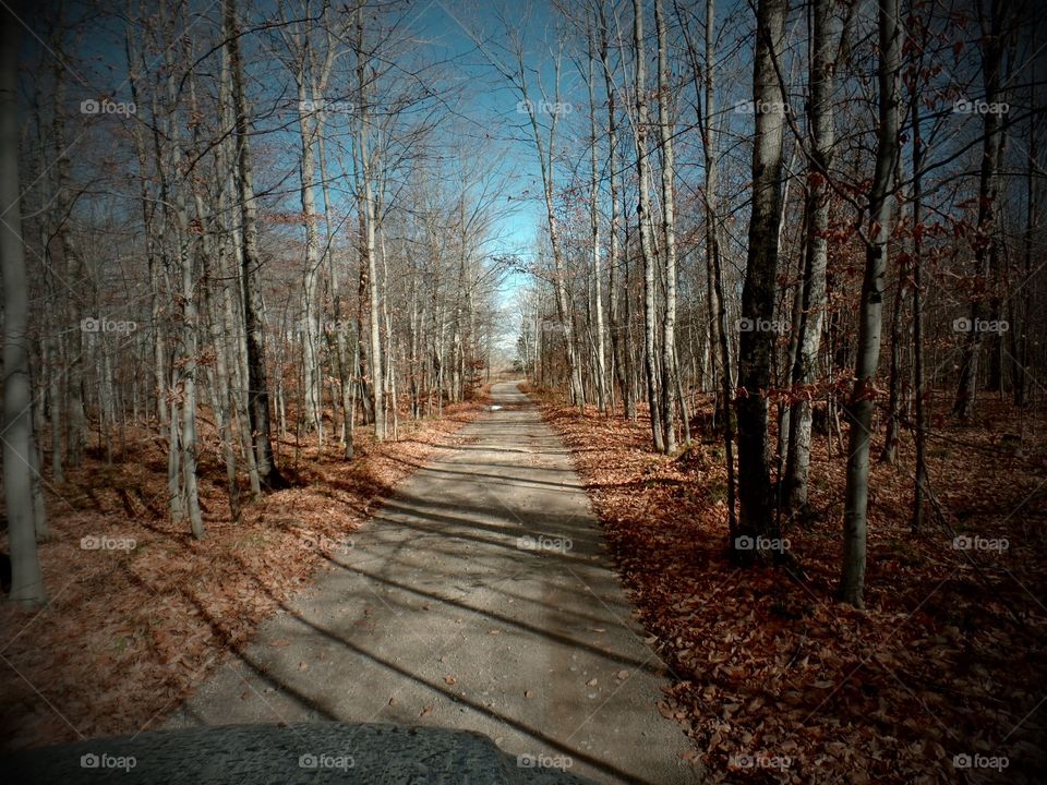 Drummond Island, Michigan 