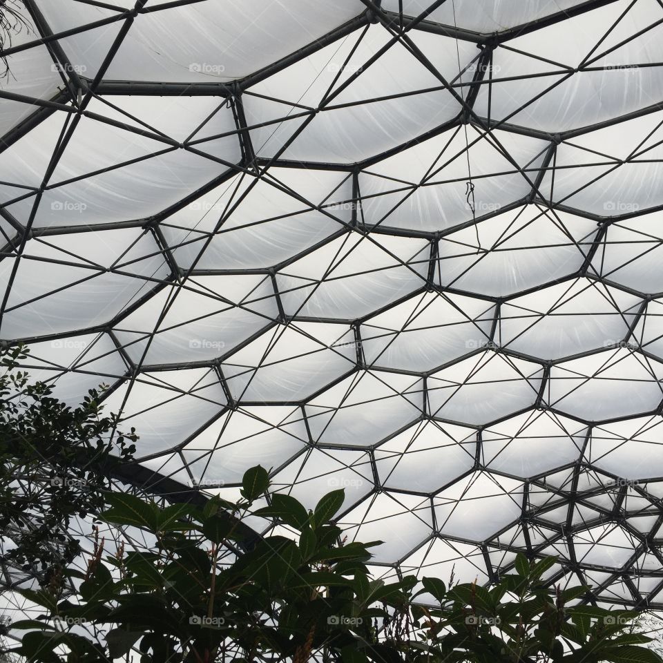 A visit to the Eden Project