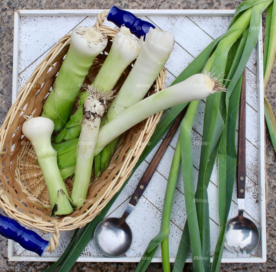 Harvesting Leeks 2018