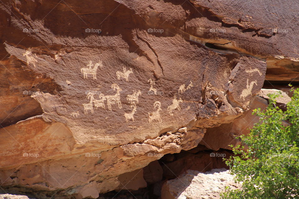 petroglyphs