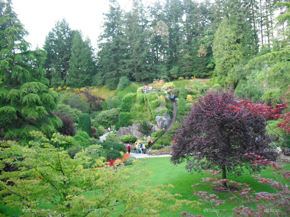 "Strolling through  the gardens"