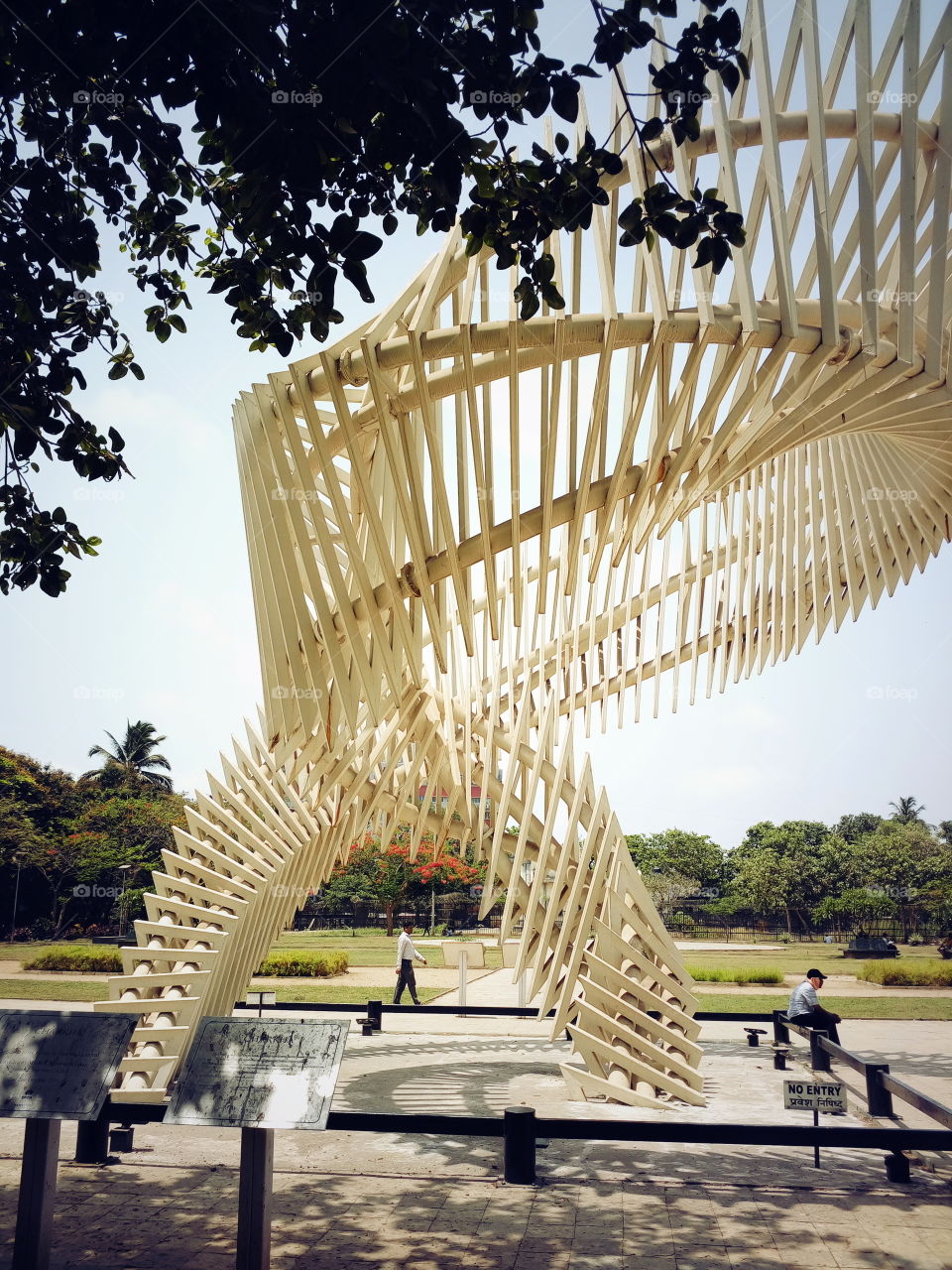 capture, craft , Tree, Street,Garden, Natural leaf,