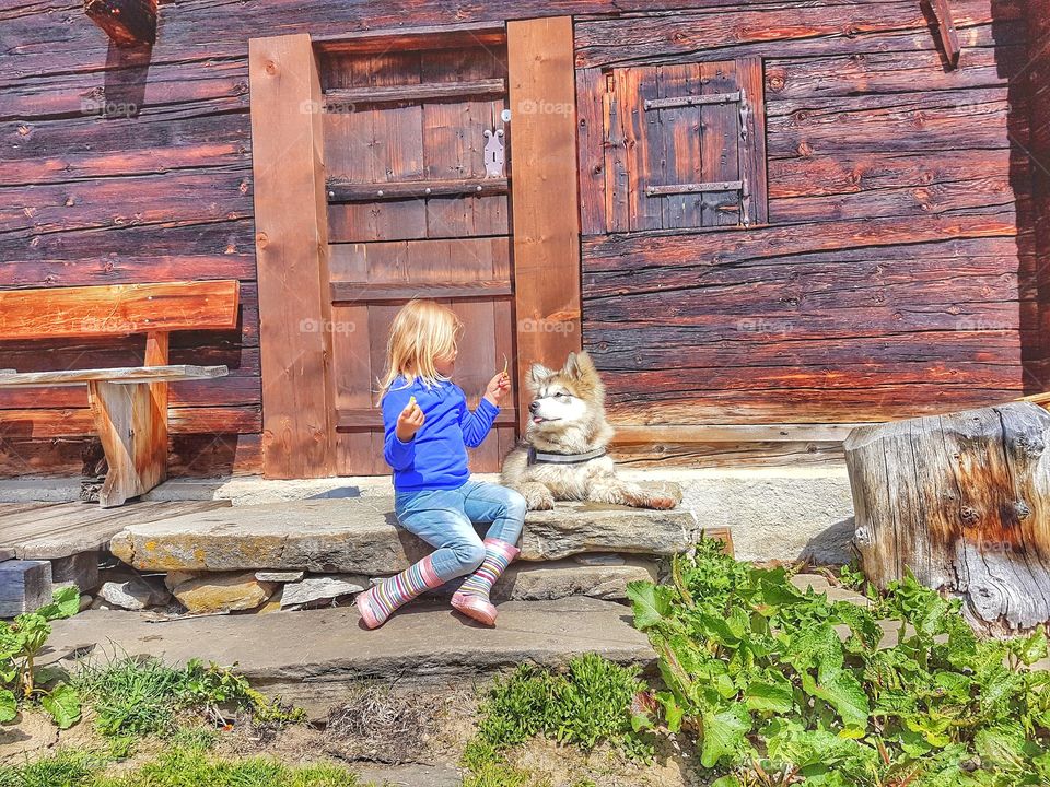 Sharing between child and puppy