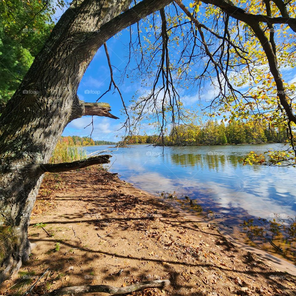 Northern beach